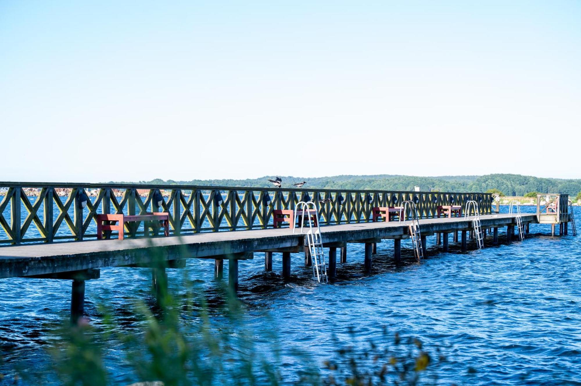 My Camping Tredenborg Sölvesborg エクステリア 写真